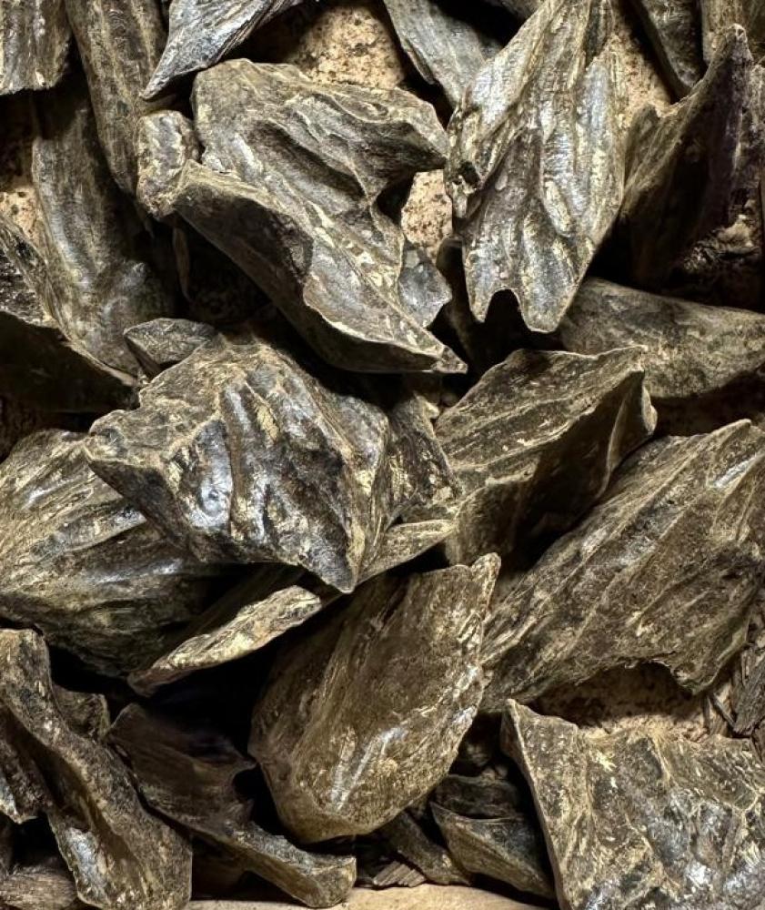 48a9190a ea1c 4d7b 9054 131e35ac0a48 841.66666666667x1000 islzbexdupfybrk69wairykh66lbhegqeqlgvb4c