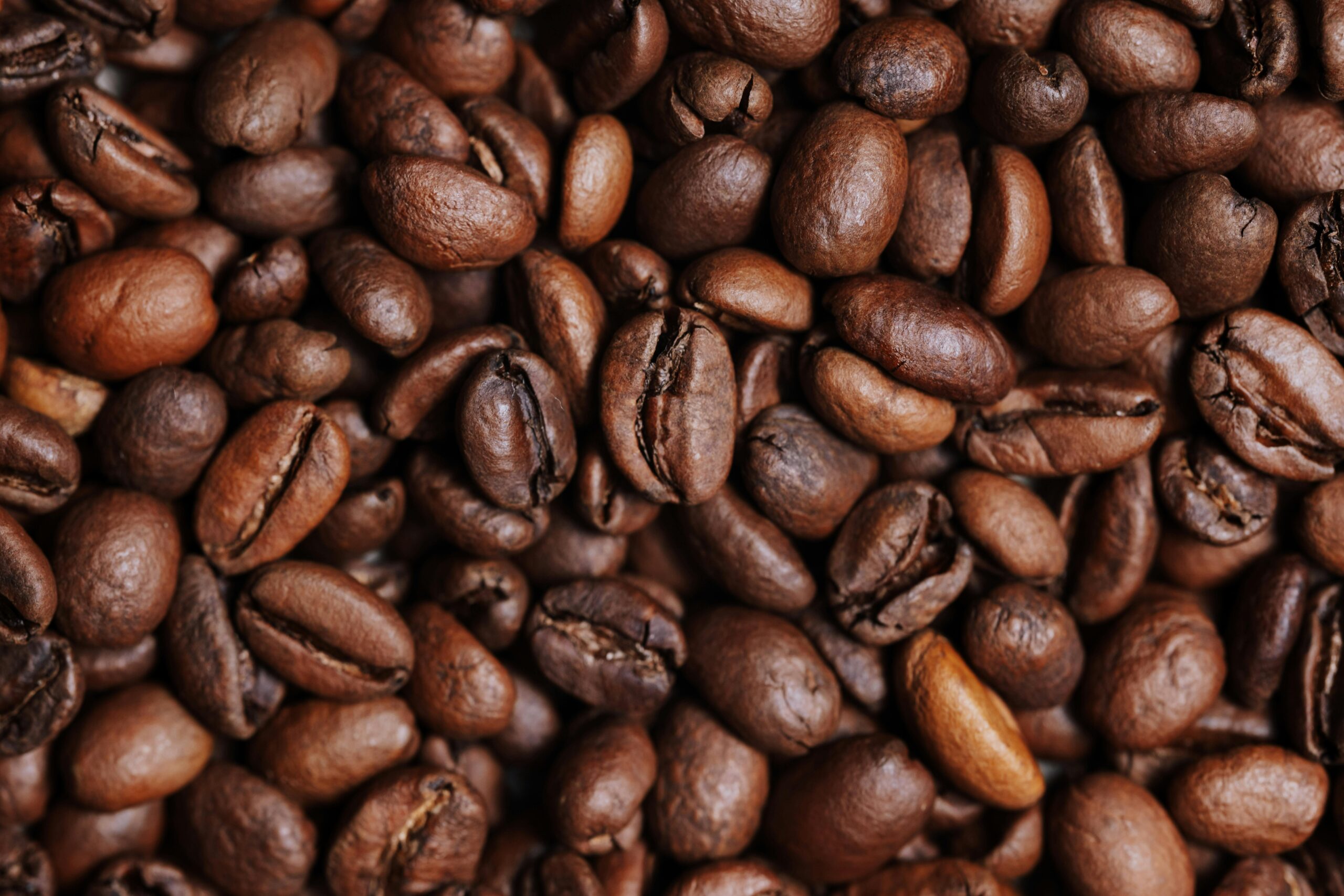 pexels kelly 20708704