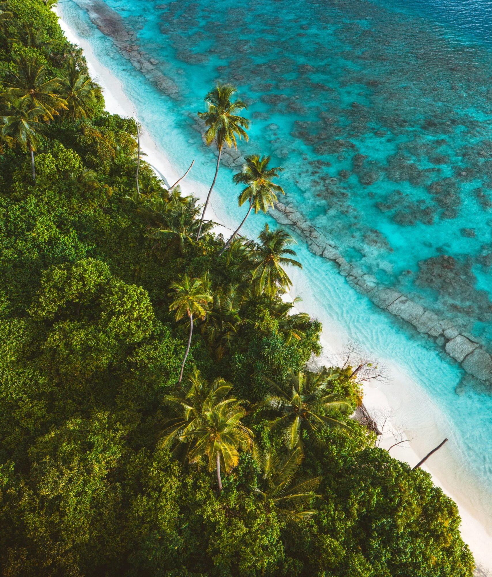 pexels dajana reci 289671698 32279569