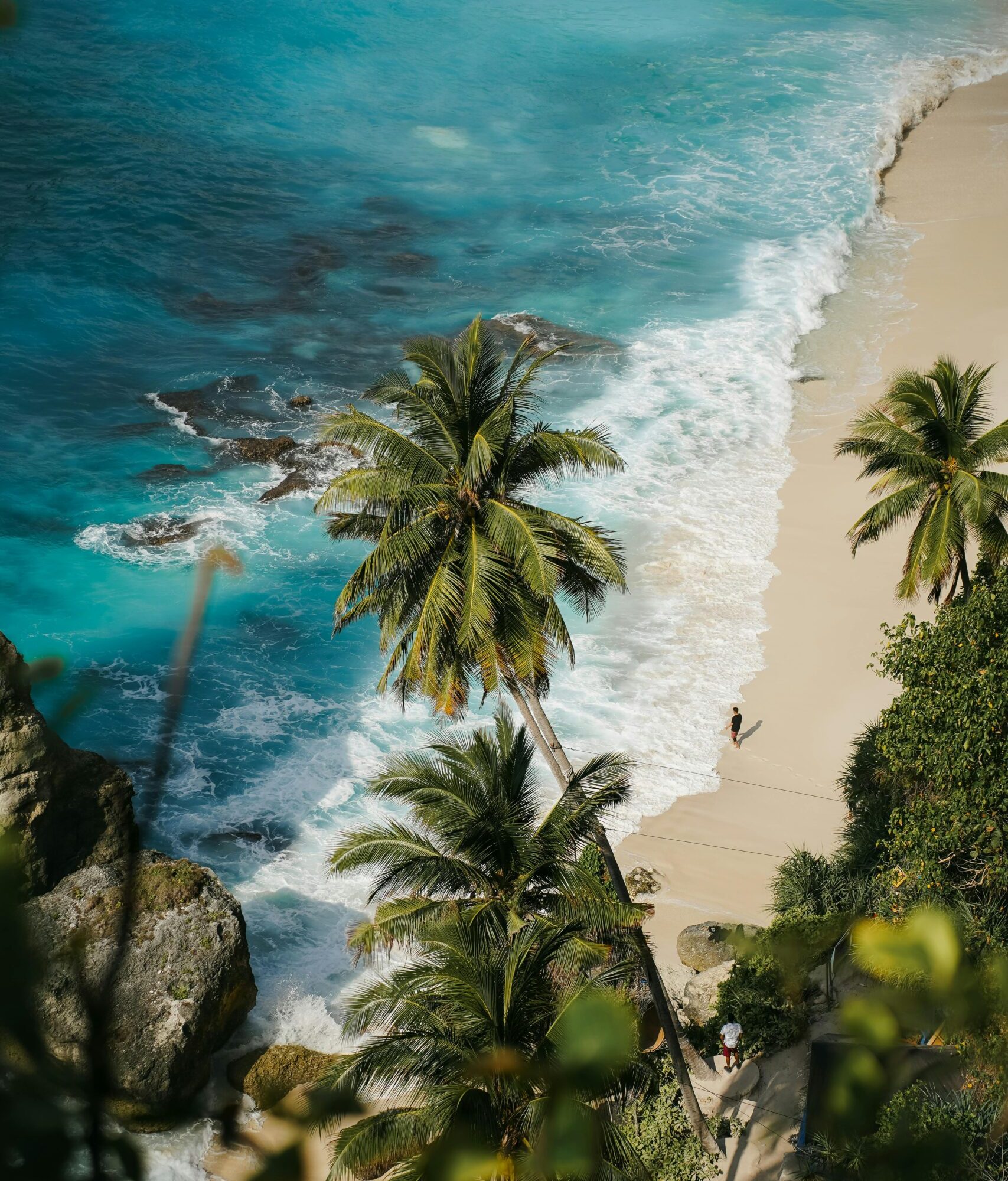 pexels joe fikar 799933673 19137460