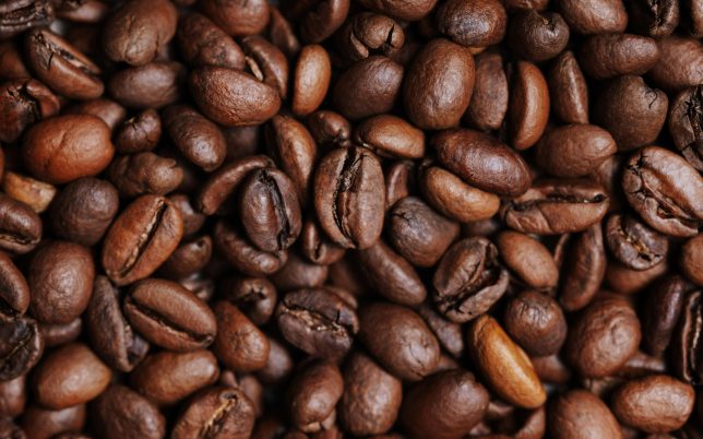 pexels kelly 20708704