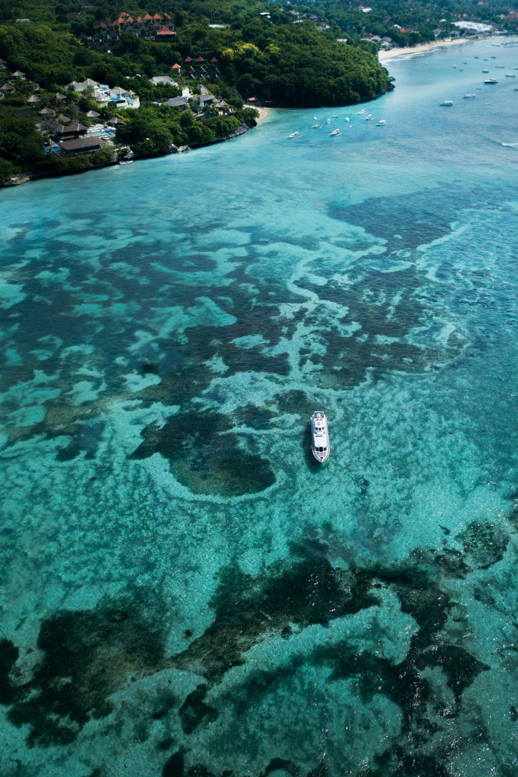 pexels maxravier 2253820