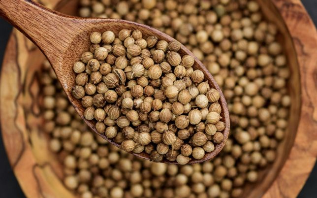 pexels victoria bowers 148548814 10487771